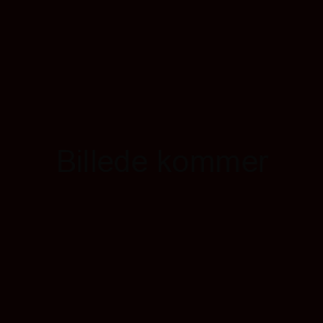 Andet salg